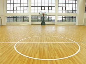 森體木業(yè) 圖 ,體育木地板使用壽命,體育木地板