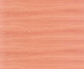 廣林木業(yè)產(chǎn)品 產(chǎn)品圖片 加盟店怎么樣