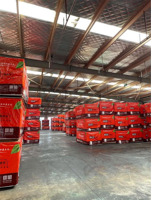 鼎立達榮獲金匠榜健康板材十大品牌 實力加冕，引領木業高質量發展