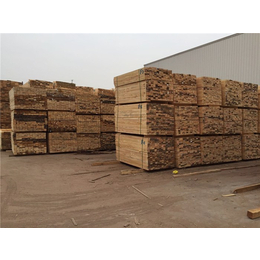 中福木業 打造樂平澳松木方專業工廠，構建綠色環保木業新標桿